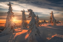 A Sunrise To Remember...