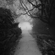 I disappear