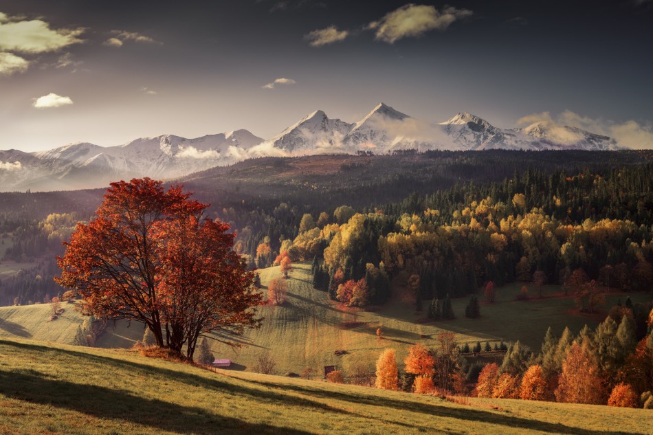 Malowniczy pejzaż górski w jesiennych barwach. *. Zdjęcie 337539