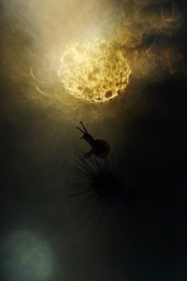 W objęciach światłocieni. PE. Zdjęcie 337990