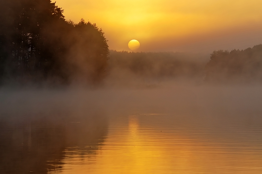 fotoel - Jezioro Wieckie. . Zdjęcie 53546