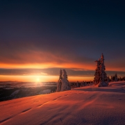 A Colour of Light...