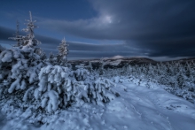 Alone On A Cold Winter'...