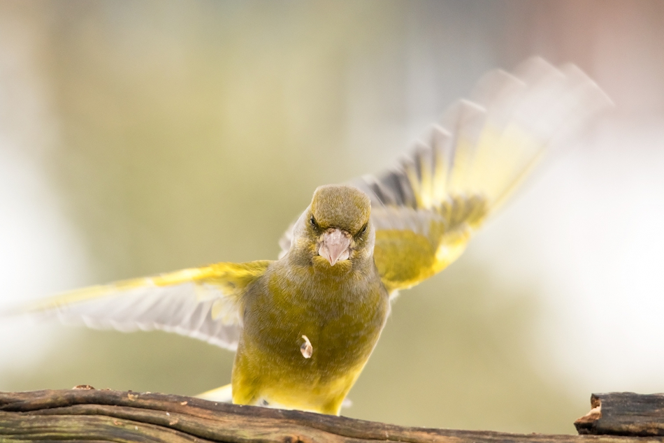 roman53 - . . Zdjęcie 283792