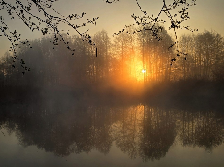 Cisza. . Zdjęcie 337581