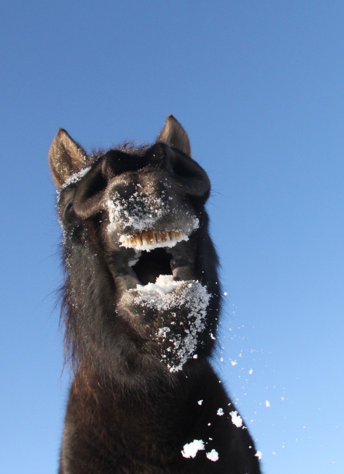 mz9r5zjjkm - Miłego dnia:). . Zdjęcie 338174