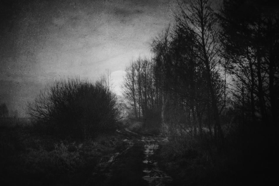 Grudzien na Polu. . Zdjęcie 282895