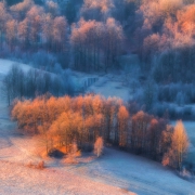 A Little Touch of Winter
