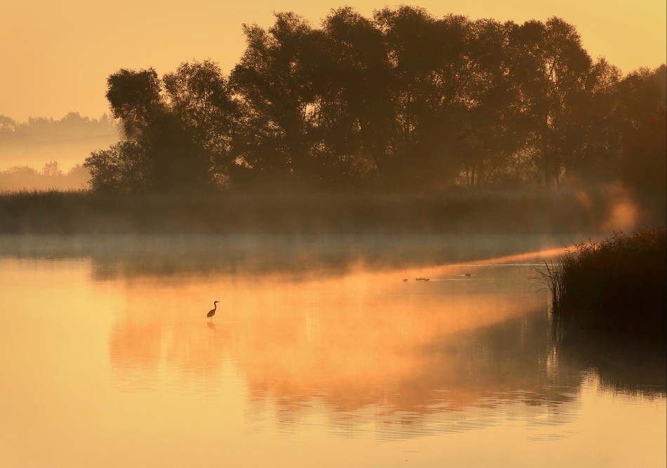 Polowanie na śniadanie. . Zdjęcie 339040