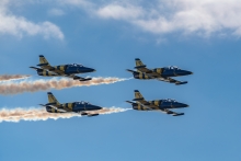 Baltic Bees
