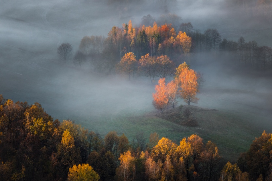 Looking for light. A golden light.... . Zdjęcie 337443