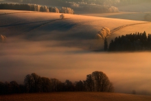 A Touch Of Light