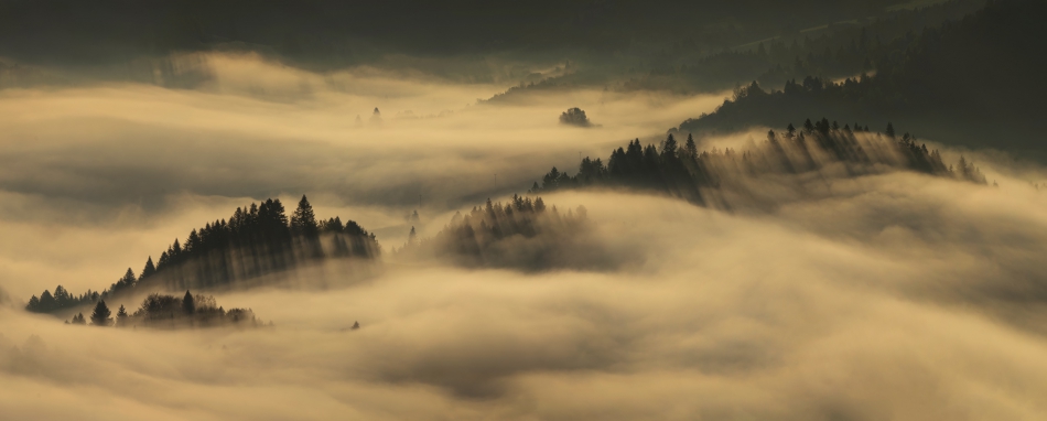 stroop - Pieniny. . Zdjęcie 256247
