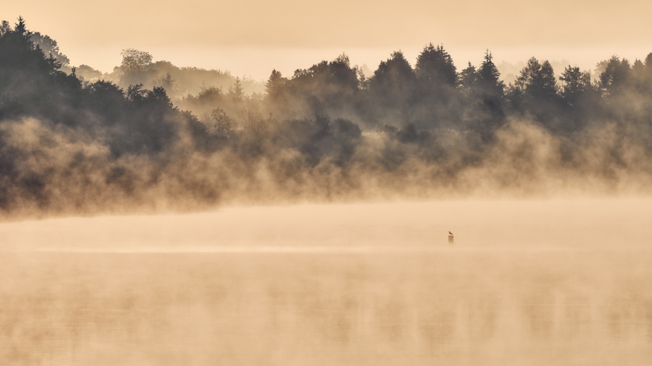 shooter76 - . . Zdjęcie 279484