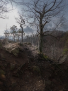 The Eternal Path