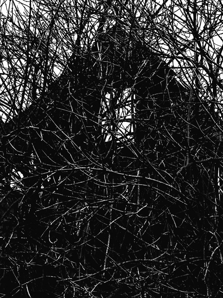 Dom zły?. -. Zdjęcie 336778