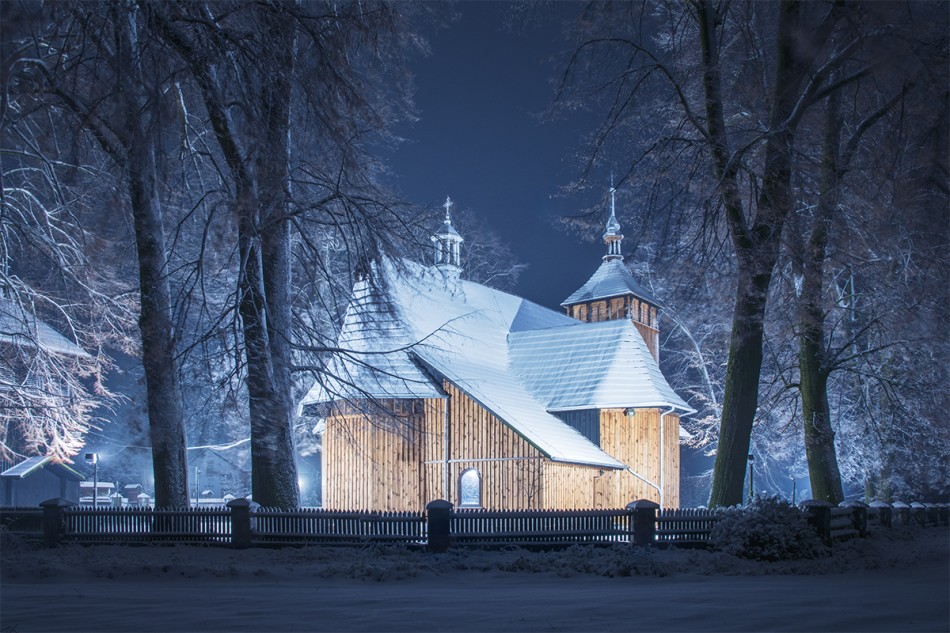 W zimowej szacie. . Zdjęcie 337560