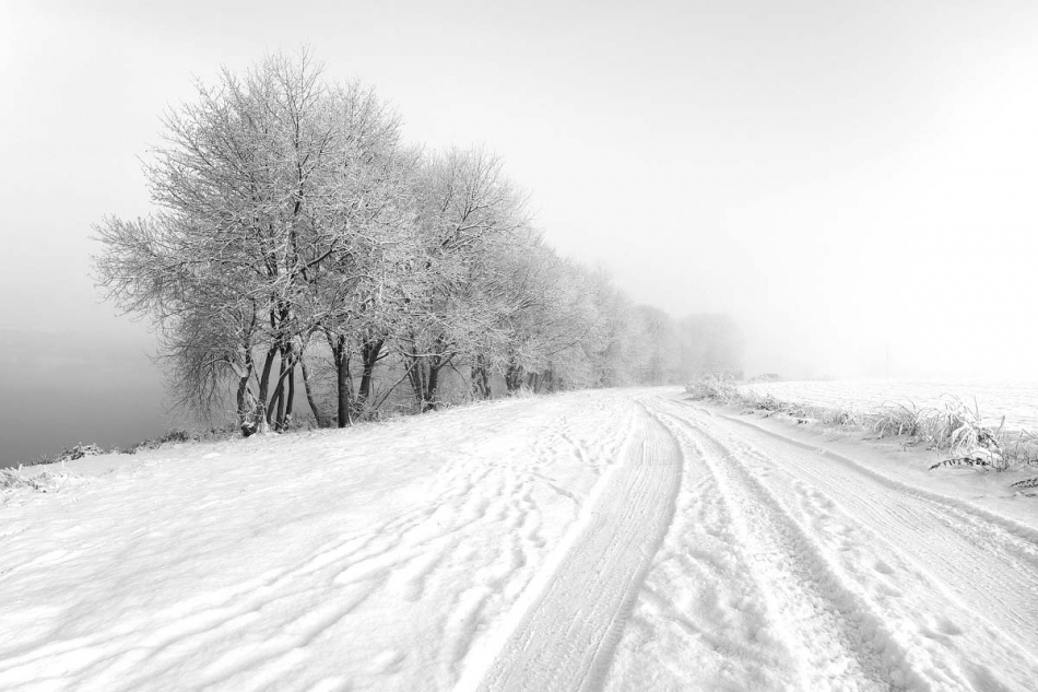 kajar - . . Zdjęcie 310365