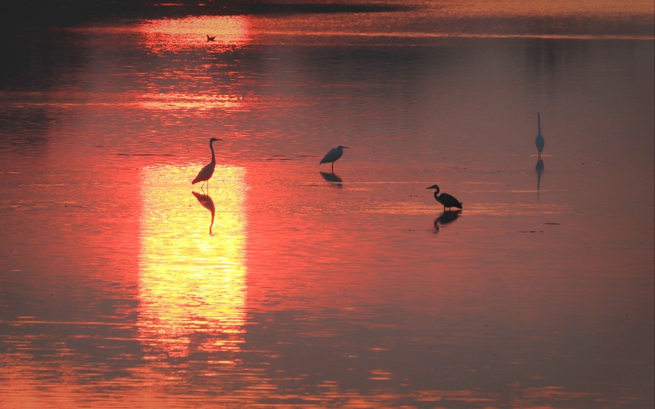 W świetle reflektorów. . Zdjęcie 338107