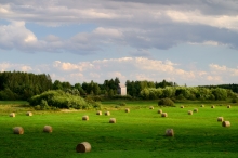 Krajobraz Podlasia