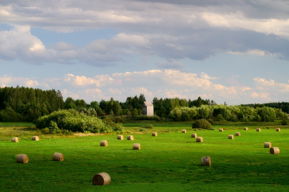 krzych1002 - Krajobraz Podlasia. . Zdjęcie 326482