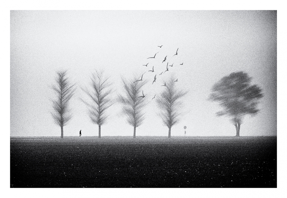 akrims - . Wersja II.  . Zdjęcie 261828