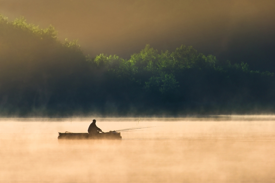 fotoel - . . Zdjęcie 199967