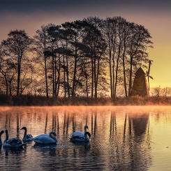Poranek nad Zalewem Zielona