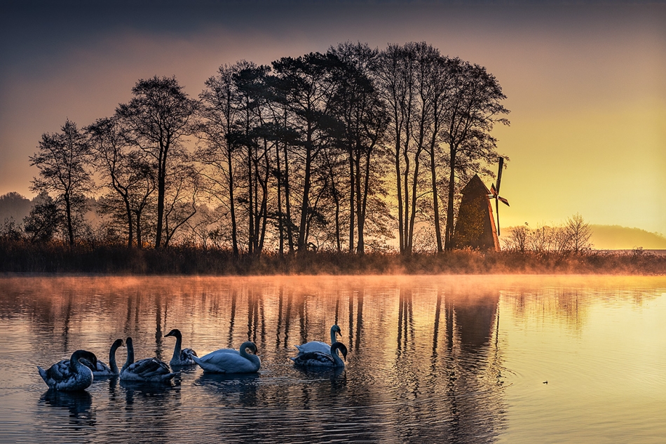 adam66 - Poranek nad Zalewem Zielona. . Zdjęcie 336806