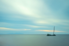 Newton Shore