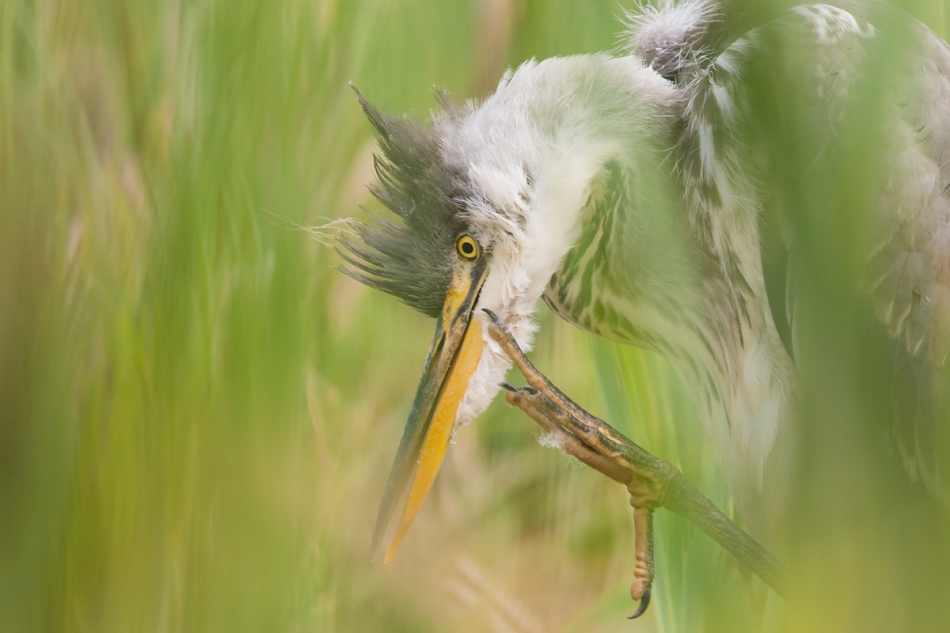 mateuszmm - VIII.2016. . Zdjęcie 175690