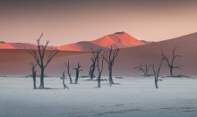 Deadvlei