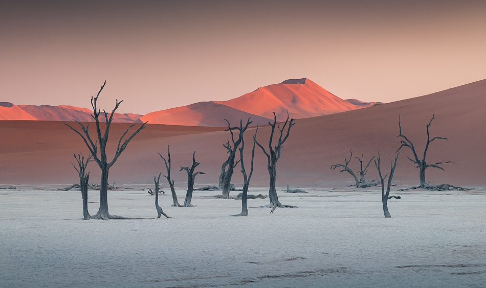 karol_nienartowicz - Deadvlei. Dolina Śmierci, Namibia 2024. Zdjęcie 326873