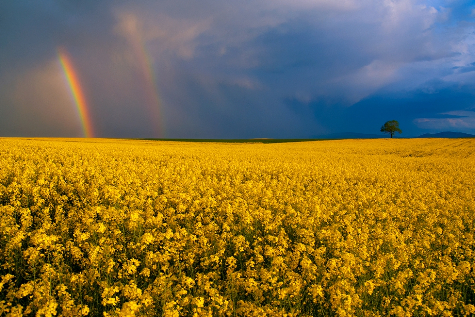 dzafoto - . . Zdjęcie 144568