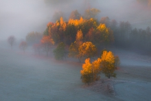 The Heart of Autumn