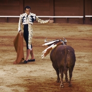 Corrida II