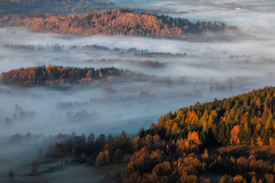 Autumn Deluxe.... . Zdjęcie 337561