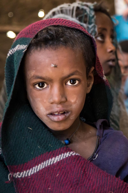 pak76 - Mucha. . Zdjęcie 95147