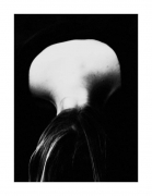 Bulb