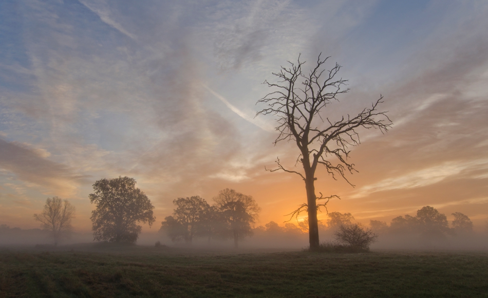 master95 - ***. Zapraszam na pełny ekran.. Zdjęcie 209885