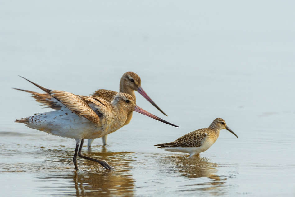 tomeq67 - Kuzyni. . Zdjęcie 276054