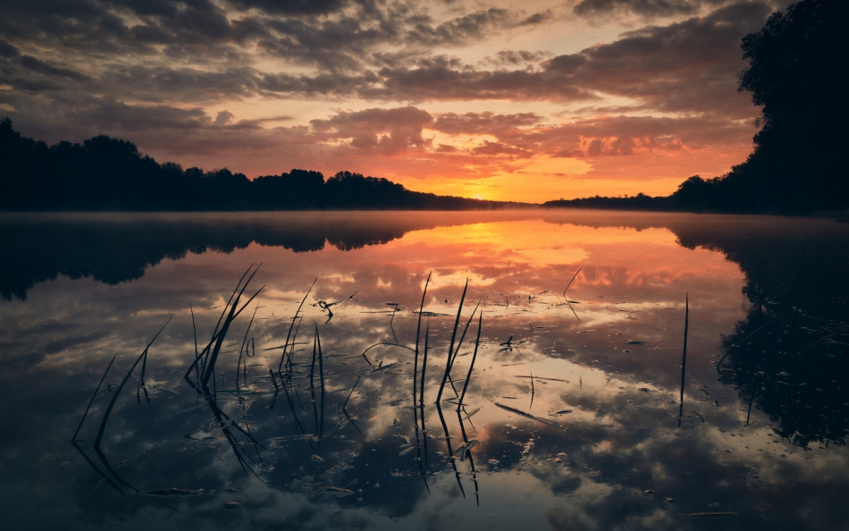 shooter76 - . . Zdjęcie 270480