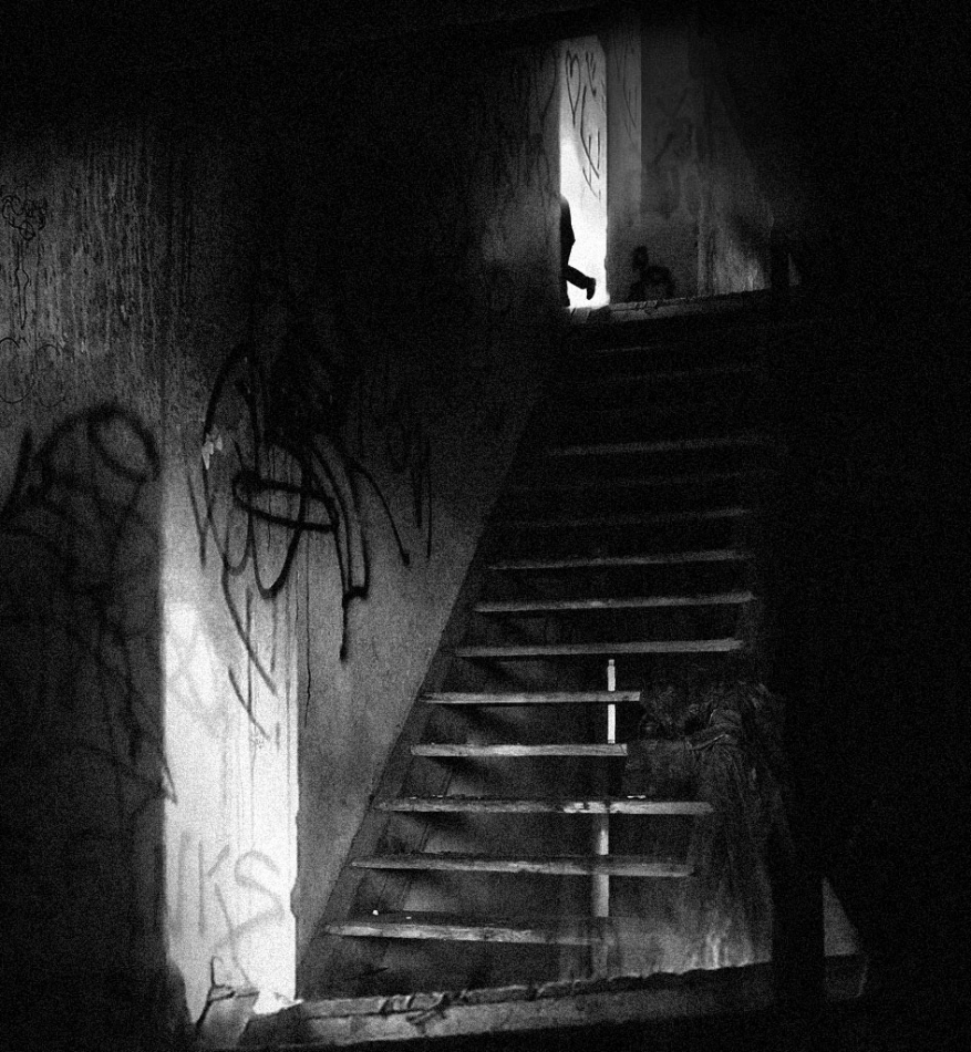 Ogarek istnienia. . Zdjęcie 336622