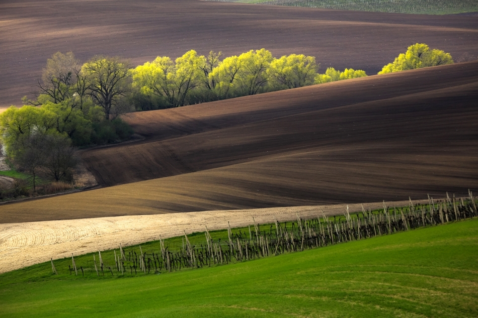 mariusz_je - . . Zdjęcie 332618