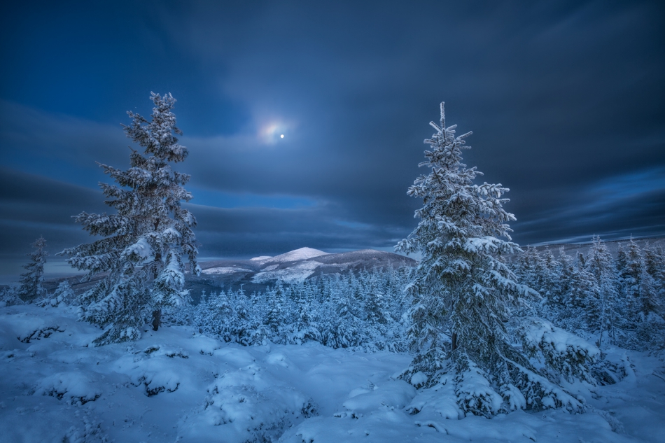 bonnieandclyde - In the Moonlight.... . Zdjęcie 312086