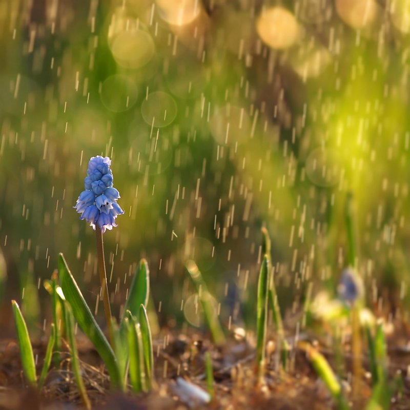 dziama0 - .... . Zdjęcie 22173