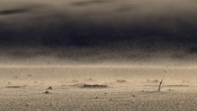 sand