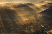 Spring Light