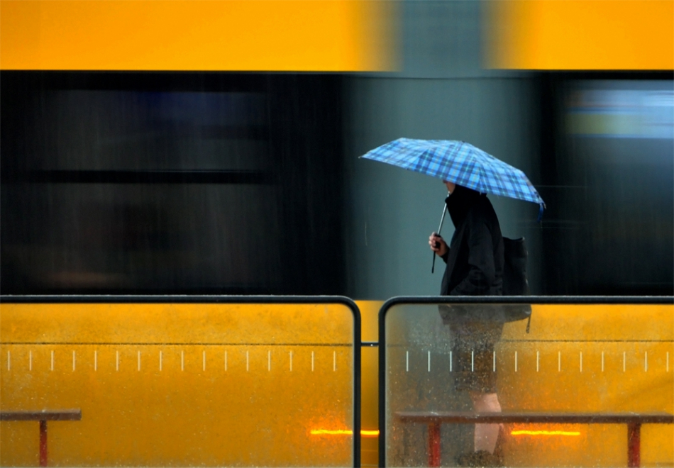 *. . Zdjęcie 122503