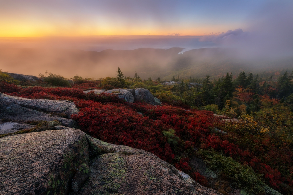 zbirek - *. . Zdjęcie 208485